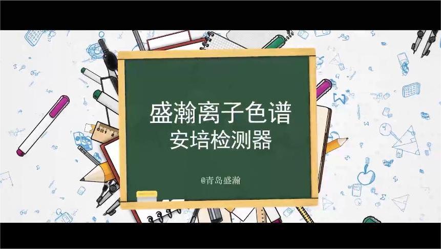 盛瀚离子色谱安培检测器